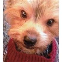 Bentley Miller