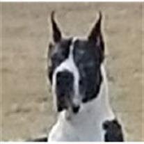 Zeus Beaston