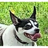 Clowie Berner