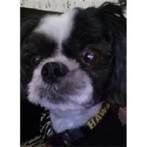 Buster Sanchez