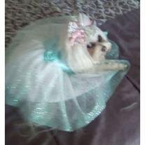 Coco princess