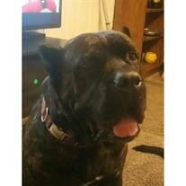 Paisley Kern