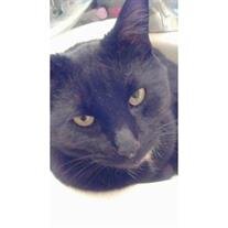 Blackey