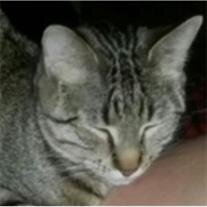 Kilala cropped