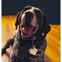 Ruger Porter