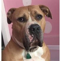 Zeus Clark