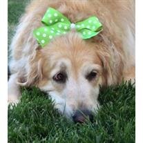 Gracie Muckenfuss