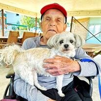David Orlando Ekre Sr.