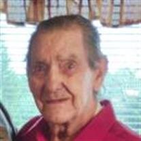 Chester O. McAdams Sr.