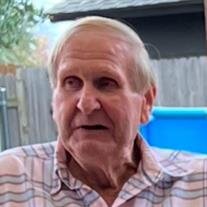 Dannie Lee Blevins
