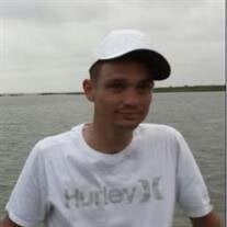 Michael A. Dorman