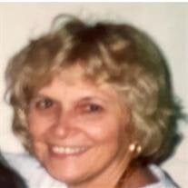 Diane DiBenedetto