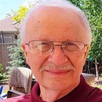 Michael J Wynns