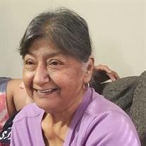 Irene Vargas Mata