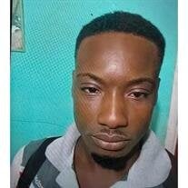 Tasmoy Grey (Tammo)