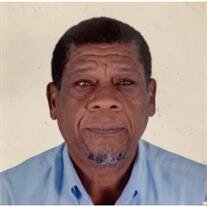 Neville Ullyn Parkins