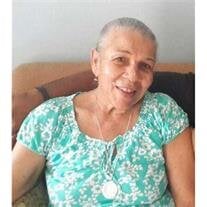 Joan Eileen Shirley nee McNeil