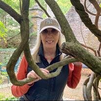 LINDA S. LaMONICO