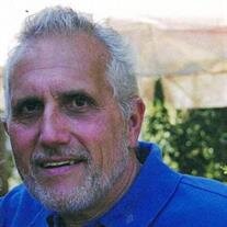 Alexander Williams Fields