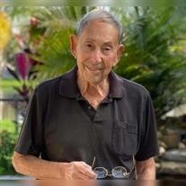 Dr. Louis Pierucci, Jr.