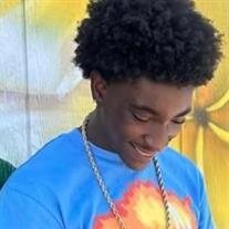 Mr. Terrance Taffee Jr.