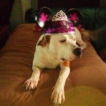 Sissy Leisure