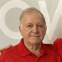 Terry Mitchell