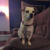 Biscuit "Booger" Kerr