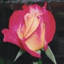 Marilyn Sue Williamson