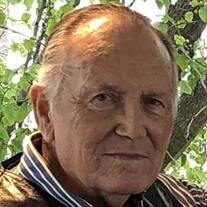 Robert L Rinck
