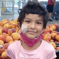 Princess Genesis Y. Vela-Fuentes
