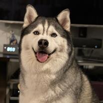 Hodor Dela Rama