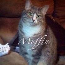 Muffin Slater