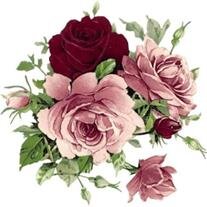 Mary Frances Hanvey Auston