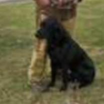 Cooper Pauli