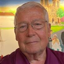 Robert Alton David