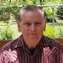 Mr. Tommy L. Shepherd