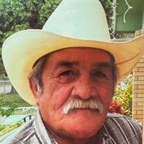 Luis Lauro Guerra Salinas
