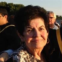 Dolores Stea