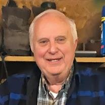 Ronald Chester Arnoldi