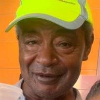 Mr. Ed Willie Wells Jr.