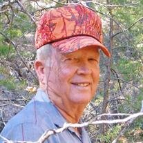 Charles Ellsworth Newton Jr.