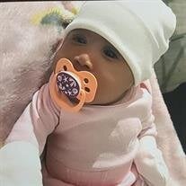 Ms Khamya Holmes