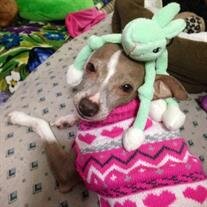 Cocoa Pawlowski