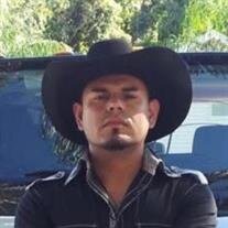 Mr. Rene Malagon-Guerrero
