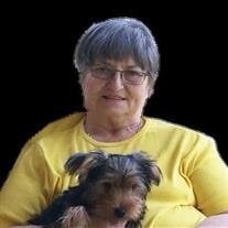 Judy VanMeter