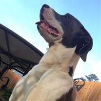 Jeter Higginbotham