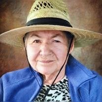 M Carmen Juarez de Servin