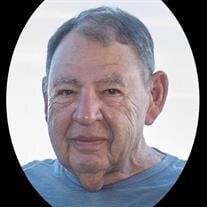 Frank Michael Mamone
