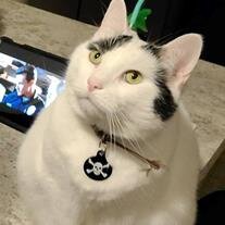 Rorschach